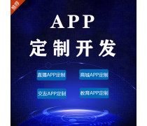 廈門(mén)應(yīng)用軟件開(kāi)發(fā)