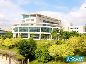 看準(zhǔn)網(wǎng)